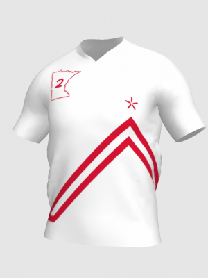Podiumwear Men's V-Neck Tee (Nordic Skiing) Front View