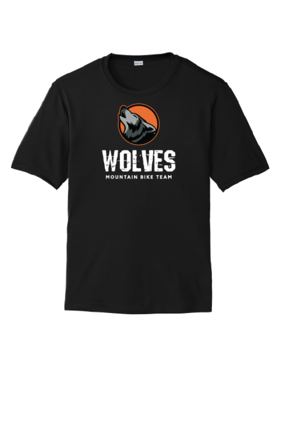 Podiumwear Men's 100% Poly Performance T-Shirt with Print Gallery